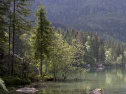 Hintersee